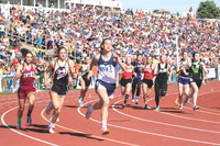 Sports/Action
